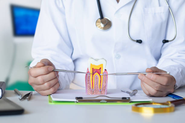 Best Knocked-Out Tooth Emergency  in Pecan Acres, TX